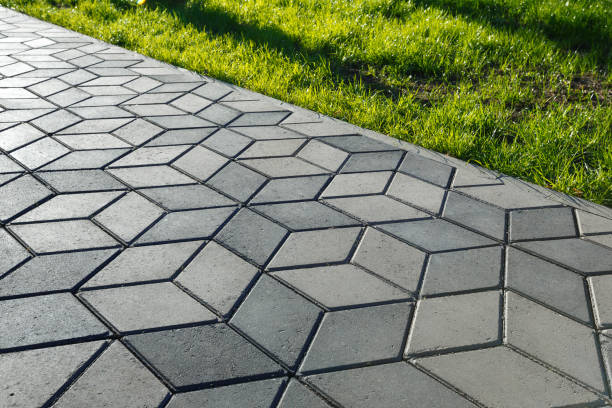 Best Professional Driveway Pavers  in East Speer, NC